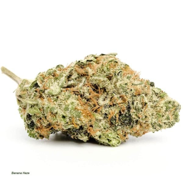 Banana Haze Weed Strain