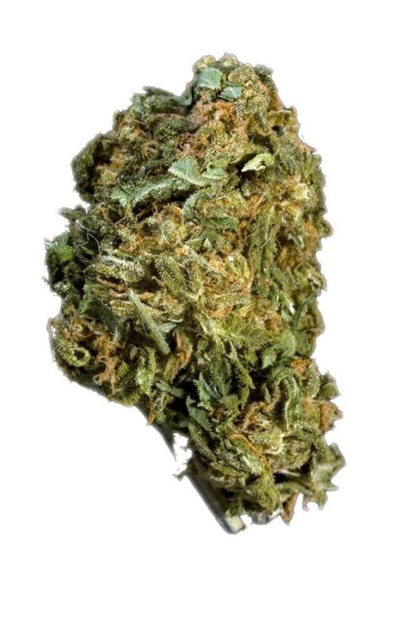 Blueberry Kush Marijuana Strain