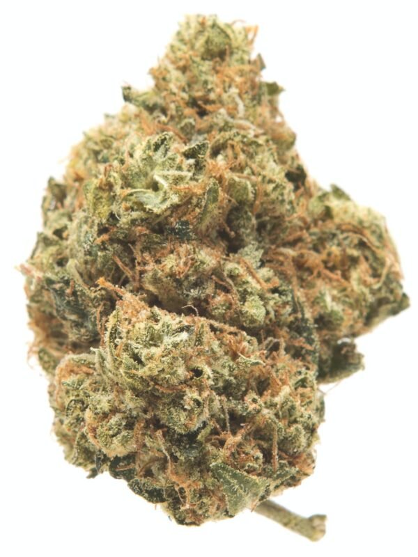 Bob Marley Marijuana Strain