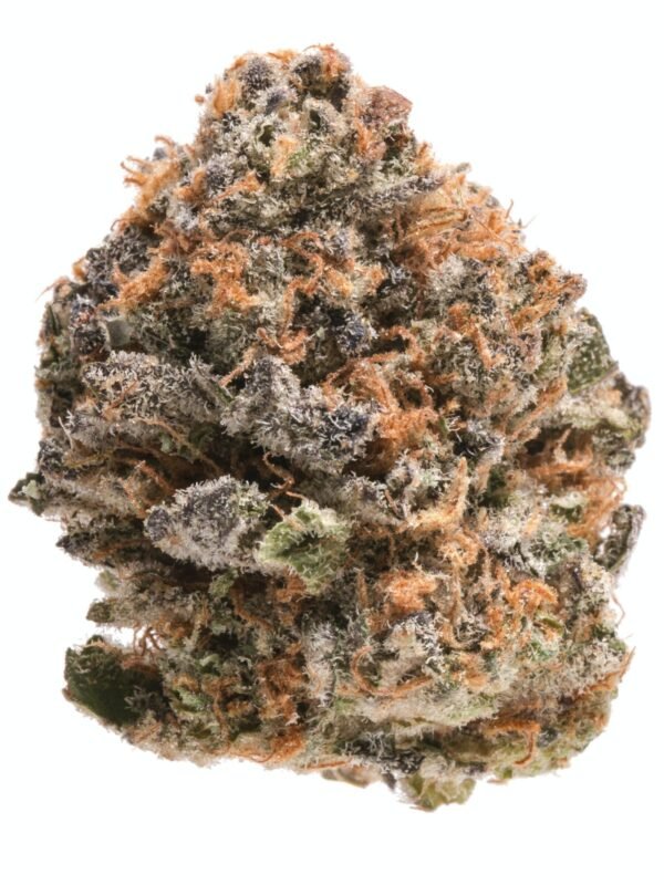 Platinum Girl Scout Cookies Marijuana Strain