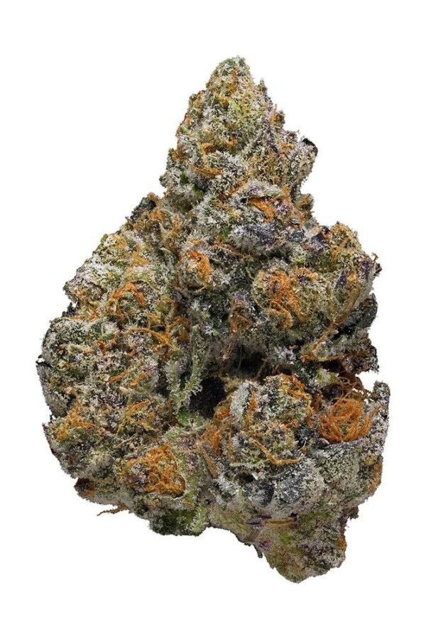 Cookie Monster Marijuana Strain