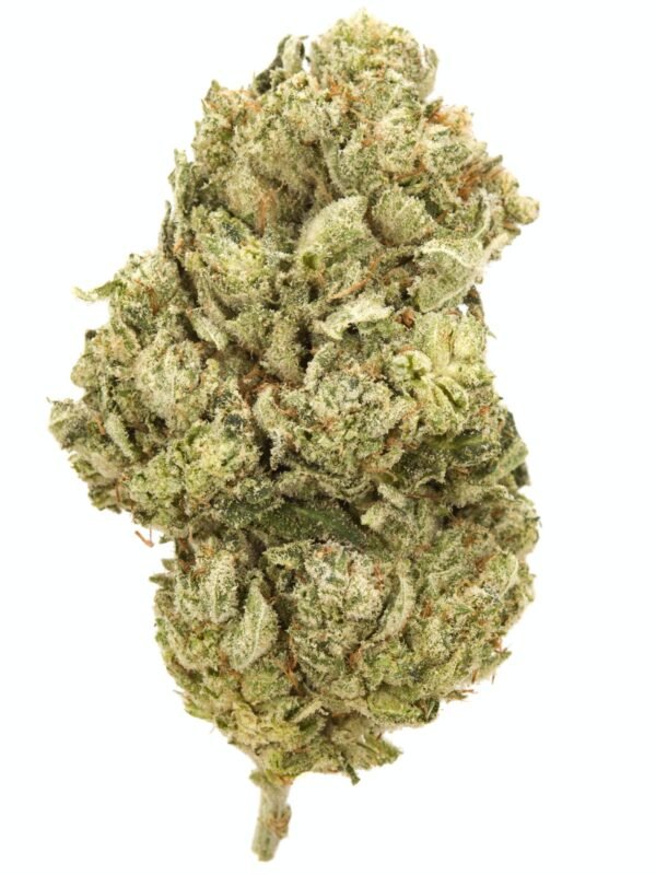 Elmer's Glue Marijuana Strain