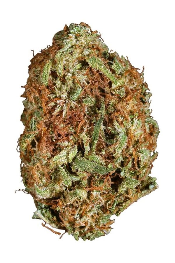 God Bud Marijuana Strain