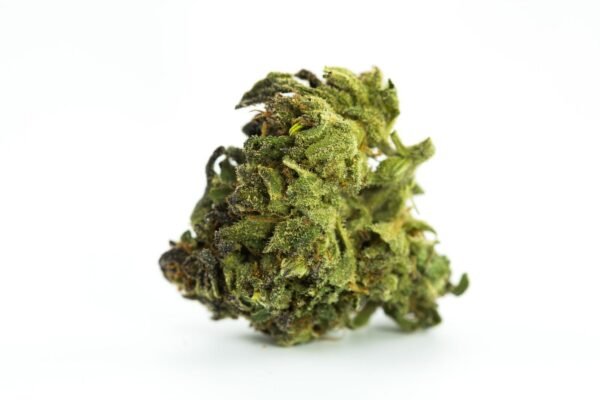 Green Dragon Cannabis Strain