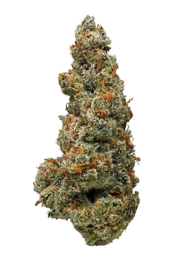 Jack Frost Marijuana Strain