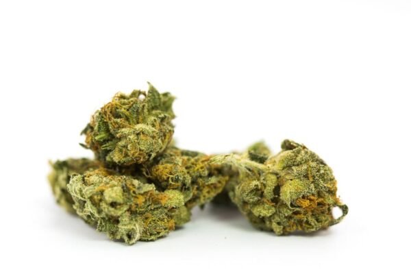 Jamaican Marijuana Strain