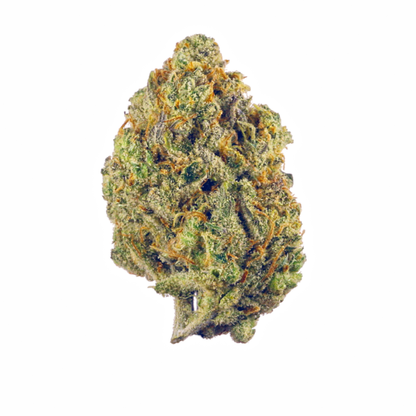 Jenny Kush Weed Strain