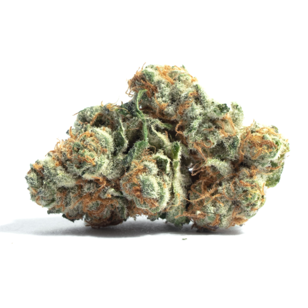 Lionheart Marijuana Strain