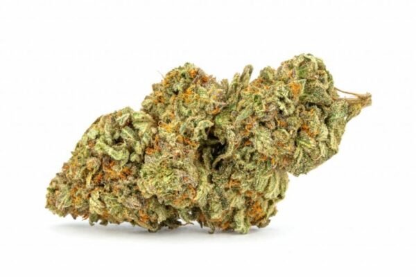 Platinum Cookies Marijuana Strain