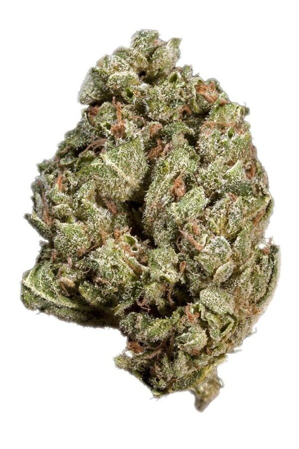 Sour OG Marijuana Strain