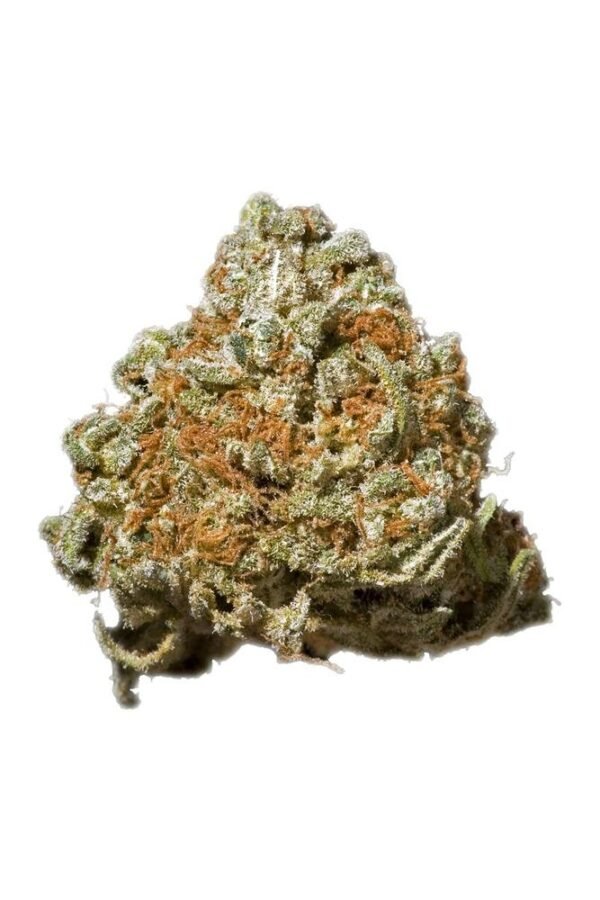 Tora Bora Marijuana Strain