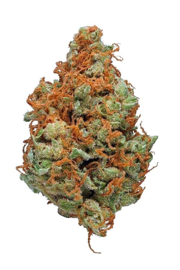 White Kush Cannabis Strain