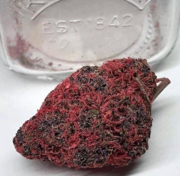 Red Haze Marijuana Strain